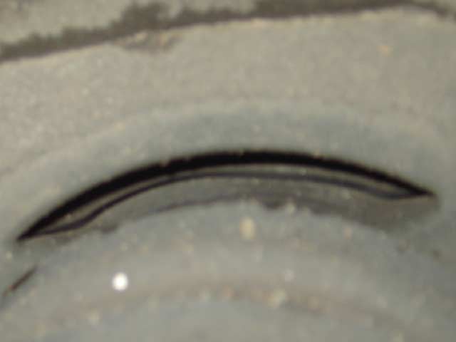 dl_y499_unbelastet_02.jpg